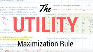 The Utility Maximization Rule [upl. by Bret512]