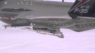 First F35A InFlight Missile Launch [upl. by Asserat669]