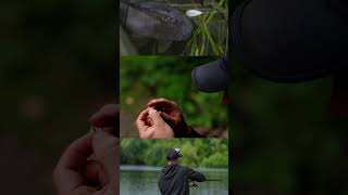 DialedIn episode 1 just went live on atomictackleTV surface fishing at farlows lake 1 [upl. by Anirehtac]