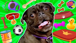 🤑 COMPRO TODO LO QUE TOQUE MI PERRO 🐶 Con mis Adorables Perritos Pug [upl. by Zantos]