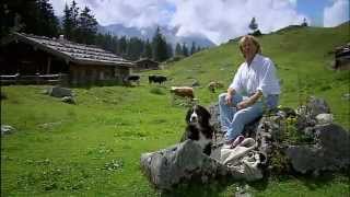 Hansi Hinterseer  Mich rufen die Berge 2012 [upl. by Elleinnad324]