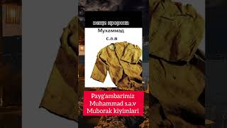 Paygambarimiz Muhammad sav ♥️ shortvideos shorts [upl. by Lombardo]