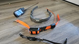 GPS Dog collar reviews [upl. by Milli]