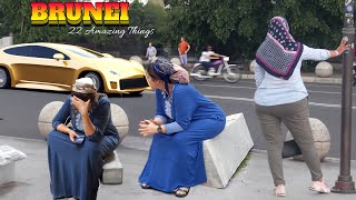 புரூணை தாருசலாம் பற்றிய 22 ஆச்சரியமான உண்மைகள்  22 AMAZING THINGS ABOUT BRUNEI DARUSSALAM [upl. by Nnoj150]