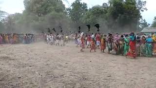 Dantewada adivasi dance [upl. by Adnalohs991]