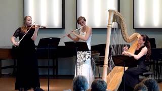 Bohuslav Martinu  Promenades by Borealis Trio flute violin harp [upl. by Herod]