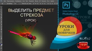 Урок 10 📢 Выделяем стрекозу  Select the dragonfly [upl. by Joni]