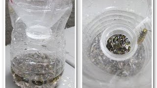 How to Make an Easy Wasp Trap DIY Recycle water bottles [upl. by Coulson]