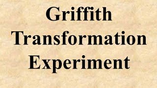 Griffith Transformation Experiment search of genetic material molecularbasisofinheritanceclass12 [upl. by Christmann912]