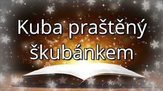 Audio pohádka KUBA PRAŠTĚNÝ ŠKUBÁNKEM Česká pohádka na dobrou noc pro děti [upl. by Gnous715]