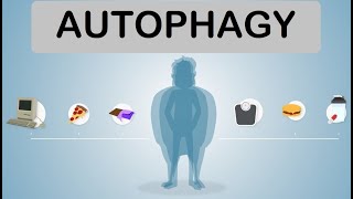 Autophagy  Intermittent Fasting Loose Skin Benefits Activation  Boost Autophagy [upl. by Fante]