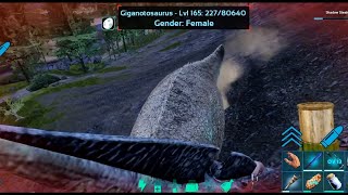 KILL GIGANOTOSAURUS WITH PTERANODON IN ARK MOBILE [upl. by Conney242]