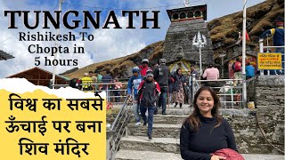 Chopta Tungnath Trek  Chopta Tour  Rishikesh to Chopta Tungnath Temple  Highest Shiva Temple [upl. by Llemar]