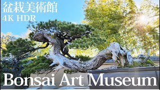 Bonsai Art Museum in SAITAMA JAPAN【4K Bonsai Walk】without BGM さいたま市大宮盆栽美術館 [upl. by Ailem222]