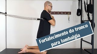 Exercícios de fortalecimento do tronco para lombalgia [upl. by Ecinrev]