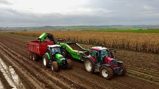 Arrachage de pommes de terres 2023 🥔  Deutz amp Valtra 🤠 [upl. by Thibaut415]