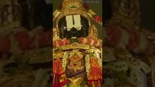 Govinda hari govinda venkataramana govinda 🚩 Lord Vishnu 🚩 Tirupati Balaji 🚩 [upl. by Ness]