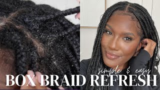 Unapologetic Box Braid Refresh  Simple and Easy Braid Wash [upl. by Iatnwahs701]