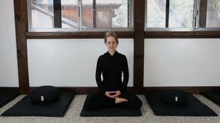 Zen Meditation Instruction How to Meditate [upl. by Calmas]