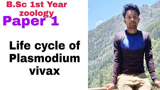 Life cycle of plasmodium vivax BSc first year zoology paper 1 [upl. by Koa5]