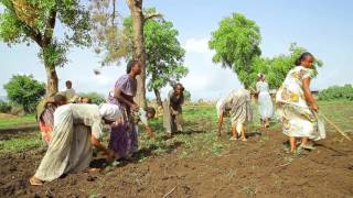 Agriterra in Ethiopië 2 [upl. by Mrots452]