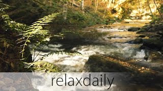 Music for Studying Concentration and Reading relaxing  relaxdaily N°099 [upl. by Stiegler70]