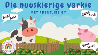 Die Nuuskierige Varkie met prentjies by  Plaas stories  Afrikaanse Stories vir Kinders [upl. by Atikal125]