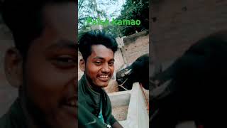 paisa kamao buffalo song [upl. by Shawn]