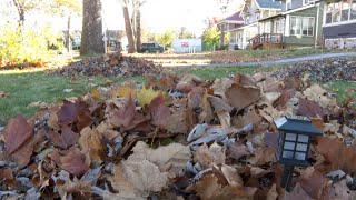 Omaha landscaper espouses the virtue of disposing of leaves [upl. by Alenairam]