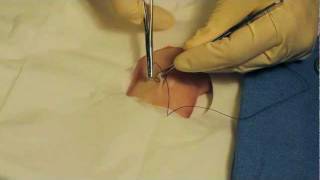 How to Suture with Dr Bones Dr Alton [upl. by Essirehs]