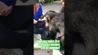 Anuel AA y Karol en el zoológico jugando con un chimpancé zoo anuelaa karolg  chimpanzee [upl. by Nivlam]