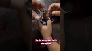 LINDT HAZELNUT CHOCOLATE  chocolate lindtchocolate lindthazelnut [upl. by Sudnak217]