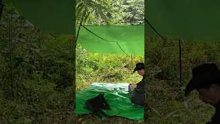 Outdoor Adventure n112 shorts outdoorsurvival survival bushcraft outdoor nature wildlife [upl. by Gavrah770]