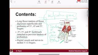 Fascial spaces of the hand [upl. by Beichner]