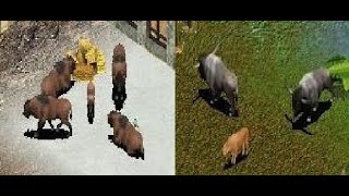 LongHorned Bison and Steppe Bison Zoo Tycoon Download Showcase [upl. by Ayikahs]