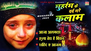 Muharram 2024  मोहर्रम के दर्द भरे कलाम​  Latest Karbala Nohay  NonStop Moharram Nohay  Audio [upl. by Aicenod893]