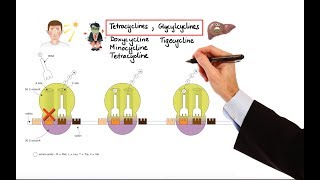 Pharmacology – ANTIBIOTICS – DNA RNA FOLIC ACID PROTEIN SYNTHESIS INHIBITORS MADE EASY [upl. by Owena483]