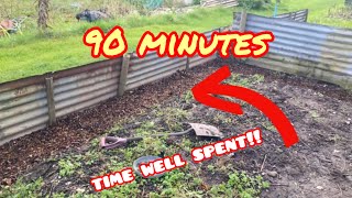 How to Prepare Your Garden for Autumn and Winter allotment vlogss [upl. by Dygal]