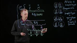 Allele and Haplotype Frequencies [upl. by Batha]