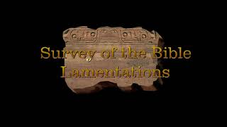 Survey of the Bible Lamentations [upl. by Kcirdneked]