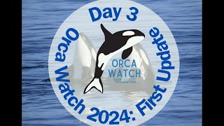 Orca Watch 2024 First Update [upl. by Enia853]