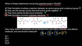 Peptide bond [upl. by Idzik801]