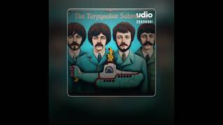 The Potatoes song the Turquoise submarine [upl. by Elocin]