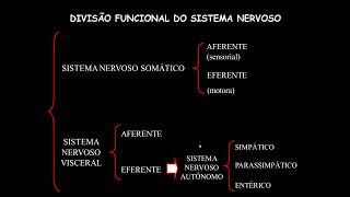 Neurofisiologia  Aula 3 Parte 1 Sistema nervoso autônomo [upl. by Medovich]