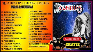 30 EXITOS DE BANDA CUISILLOS PURAS RANCHERAS [upl. by Baggs]