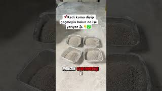 Kedi kumu diyip geçmeyin ❌￼ keşfet youtube pratikbilgiler kedikumu youtubeshorts viralvideo [upl. by Nawoj377]