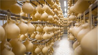 Cheese Making Process inside Factory  Amazing Food Processing 45 [upl. by Manuel]