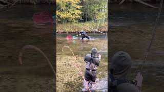 Catching King Salmon fishing freshwaterfish kingsalmon salmonrun salmon michigan fish [upl. by Odrareg]