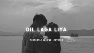 Dil LAGA LIYA PERFECTLY SLOWED reverb [upl. by Iznyl]