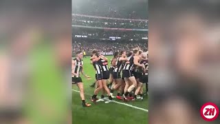 The best fan footage of Magpies gamewinning goal against Essendon [upl. by Rhpotsirhc]